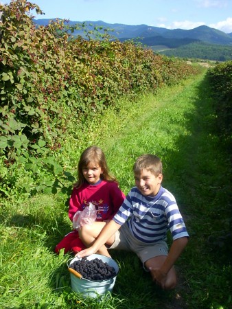 Szedres Nyíriben, drágáinkkal